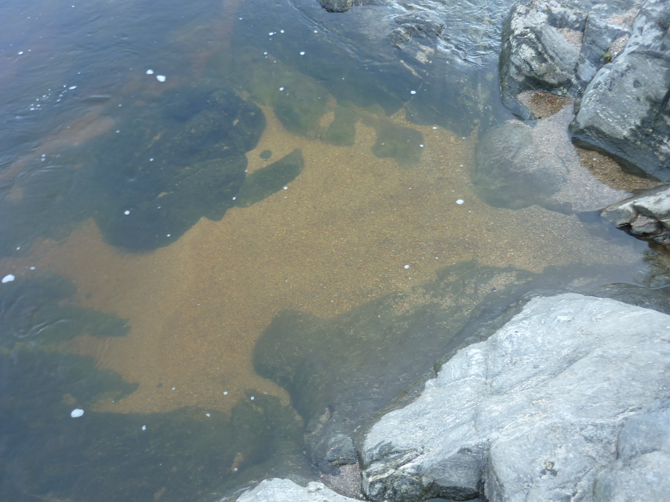 fotos/2011 - Los Reartes/P1010847.JPG